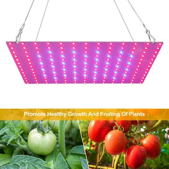Светодиодный Растительный Свет Заполняющий Свет В помещении с Полным Спектром Квантовой Платы Для Выращивания растений в Теплице Выращивание рассады овощей